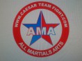 A.M.A : ALL MARTIAL ARTS: SISTEMA ABIERTO DE DEFENSA PERSONAL